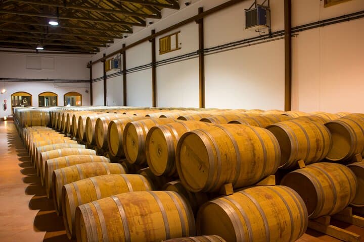 Oak barrels aging the local grapes