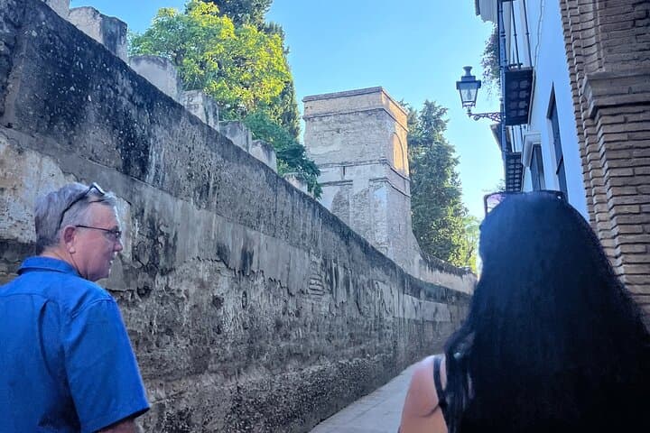 Seville Highlights Private Walking Tour