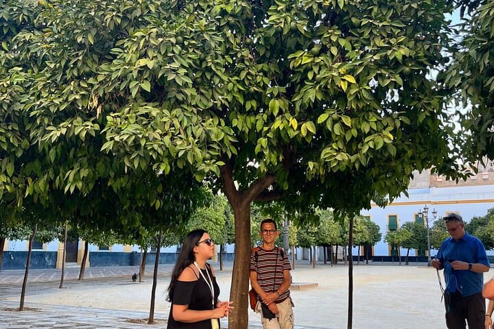 Seville Highlights Private Walking Tour