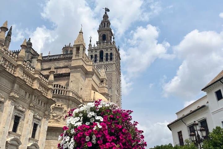 Seville Highlights Private Walking Tour