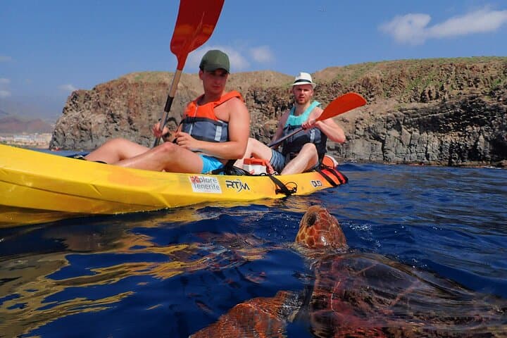 Tenerife: Turtle and Dolphin Kayak Tour with Snorkel and Wetsuit