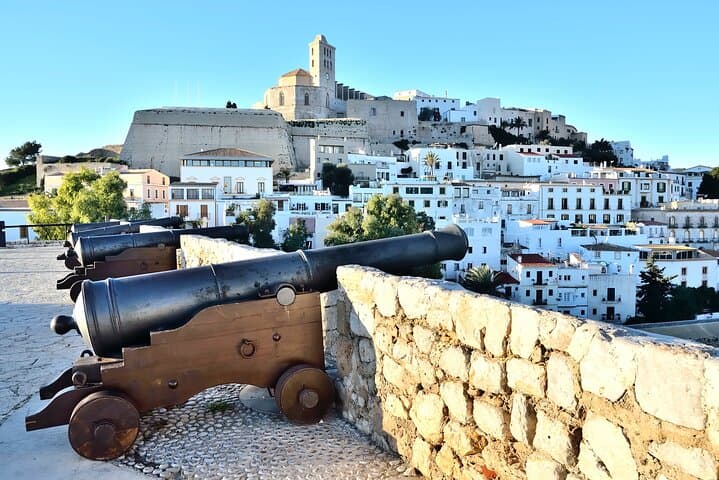 Full Day Private Shore Tour in Ibiza from Ibiza Cruise Port