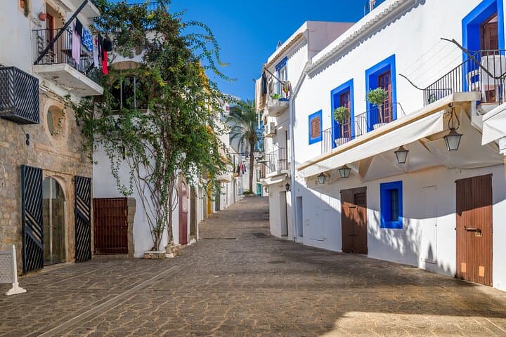 Full Day Private Shore Tour in Ibiza from Ibiza Cruise Port