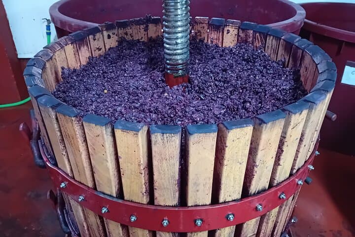 Ribera del Duero Wine Tour from Madrid with 3 Wineries & Lunch