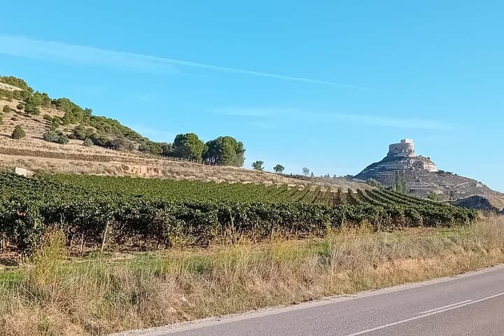 Ribera del Duero Wine Tour from Madrid with 3 Wineries & Lunch