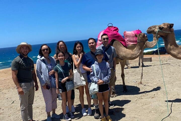 Camel Ride Tangier Moroccohttp://media-cdn.tripadvisor.com/media/attractions-splice-spp-720x480/12/0c/98/a6.jpgs://media-cdn.tripadvisor.com/media/attractions-splice -spp-720x480/12/0c/99/d8.jpg