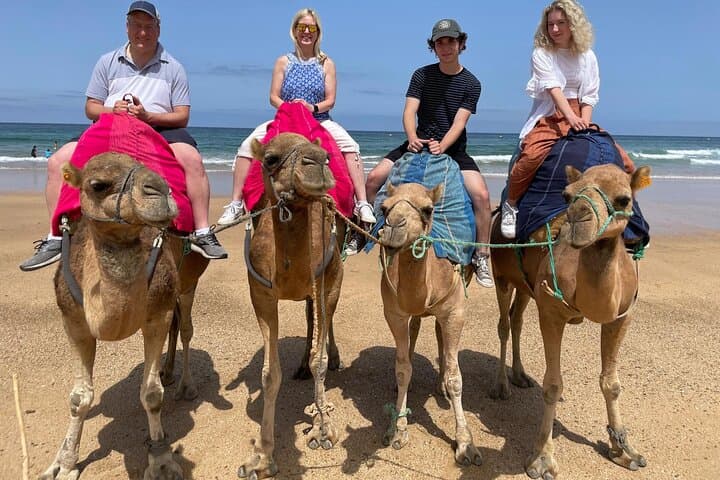 Camel ride inTangier