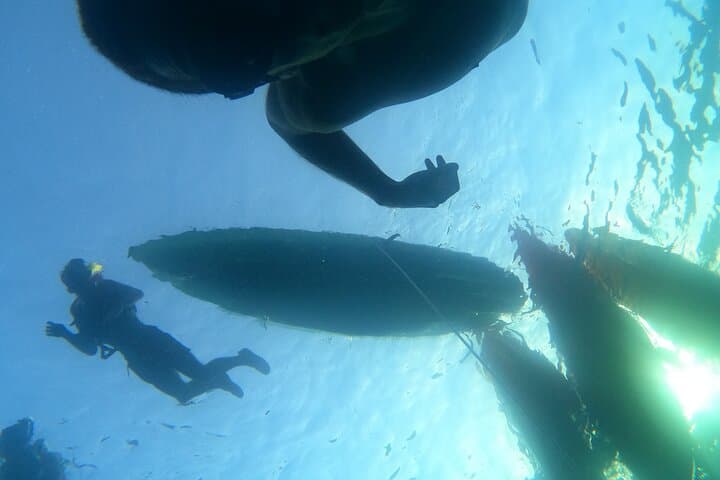 Kayak & Snorkel Safari: Look for Dolphins & Turtles in Tenerife