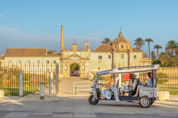 Tour Welcome to Seville in Eco Tuk Tuk Private with Local Guide