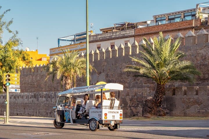 Tour Welcome to Seville in Eco Tuk Tuk Private with Local Guide