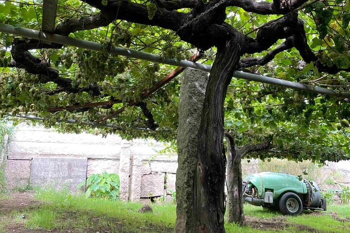 Madrid's Wines and Tabernas: A Self-Guided Audio Tour