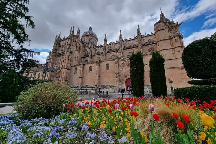 Cathedral Salamanca