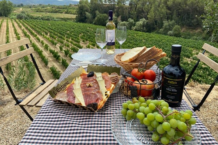 Cava tour to 3 family wineries with hotel pick-up