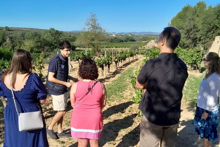 Cava tour to 3 family wineries with hotel pick-up