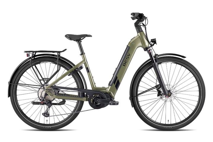 Rental bicycles