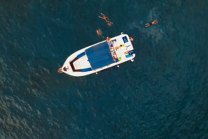 private charter 3 Hours Whale Encounter puerto colon adeje