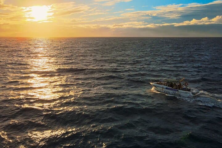 Private Charter 2 Hours Whale Watching Puerto Colon Adeje