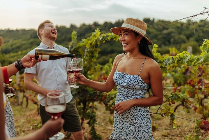 Vineyard Voyage: A Wine Lover’s Private Tour from Bilbao to Rioja