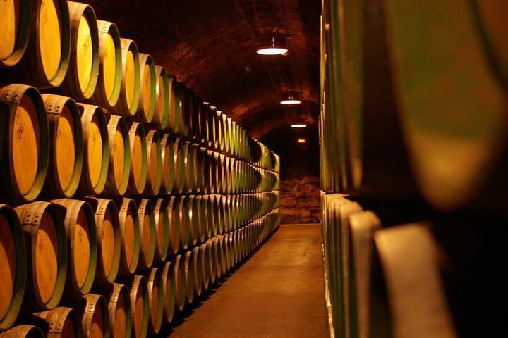 Vineyard Voyage: A Wine Lover’s Private Tour from Bilbao to Rioja