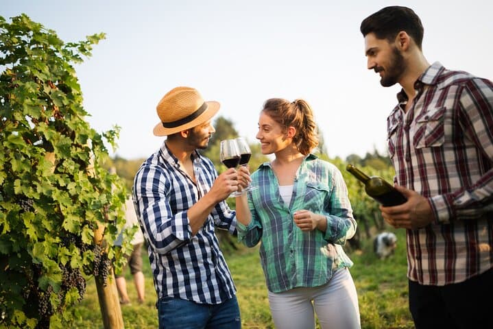 Vineyard Voyage: A Wine Lover’s Private Tour from Bilbao to Rioja