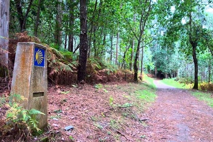 The Camino Walk &Santiago de Compostela Private SHORE Tour