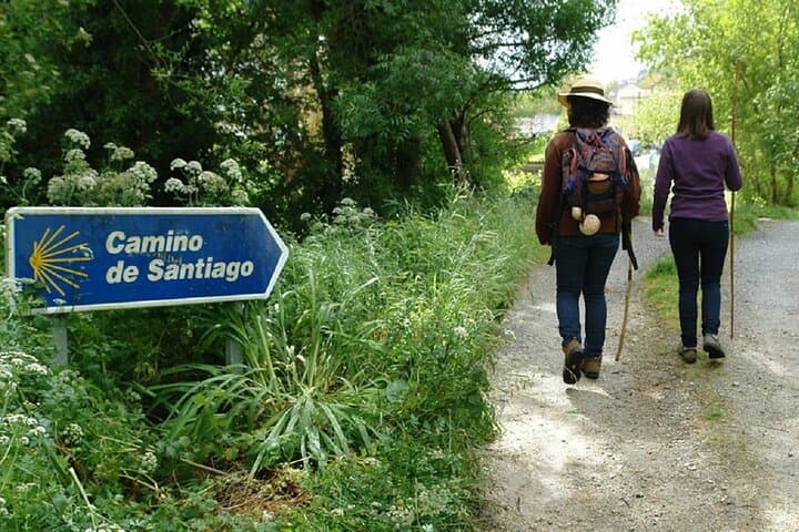 The Camino Walk &Santiago de Compostela Private SHORE Tour