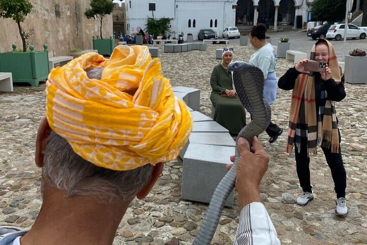 Luxury Tangier Private Day Tour from Estepona All inclusiv vip