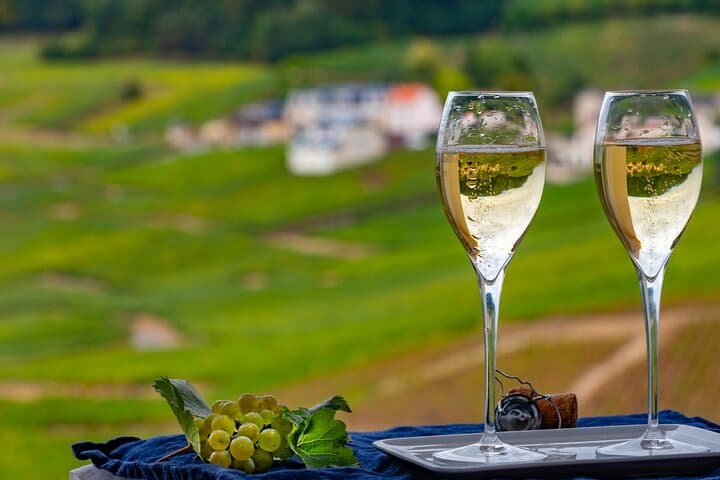 Half-Day Private Penedes Wine Tour Experience from Barcelona