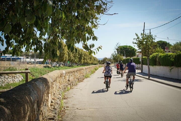 Ebike Tour, Winery, Wine Tasting & Sailing Experience(car option)