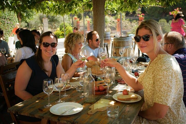 A Boutique Winery Experience E-Bike, Sail, or Car from Barcelona