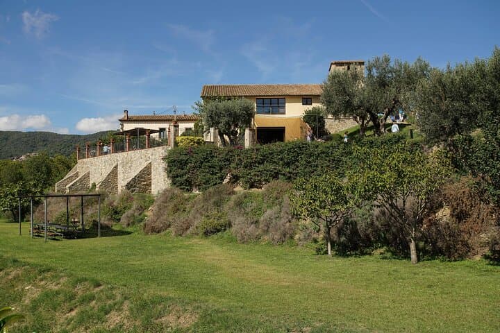 A Boutique Winery Experience E-Bike, Sail, or Car from Barcelona
