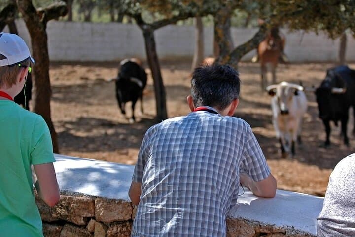Visita Entre Toros y Caballos
