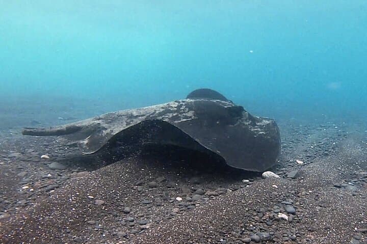 Discover Scuba Diving in Costa Calma