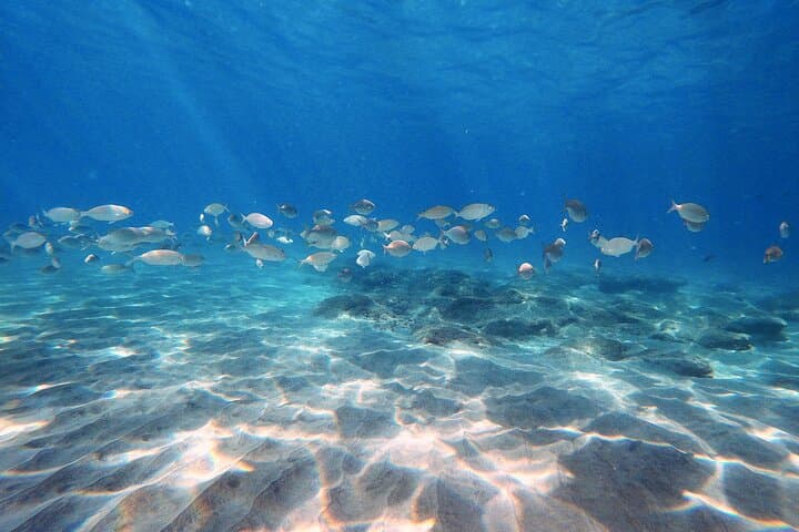 Discover Scuba Diving in Costa Calma