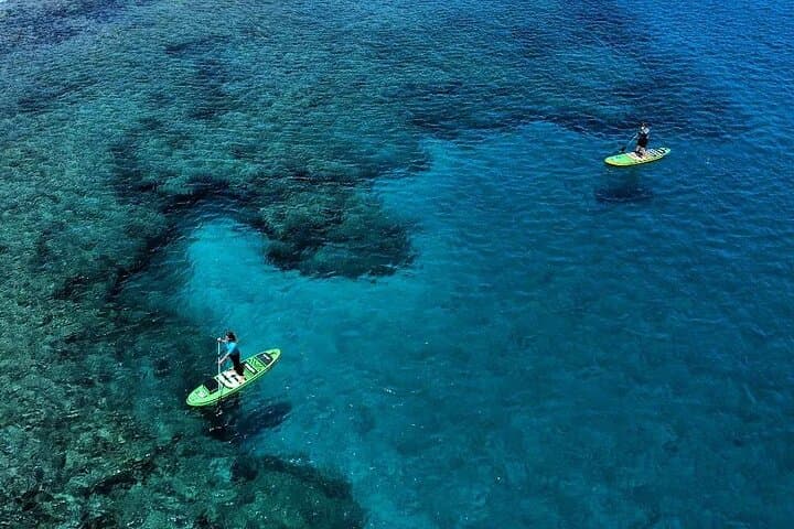 Stand up Paddle and Snorkeling lesson in Playa Blanca