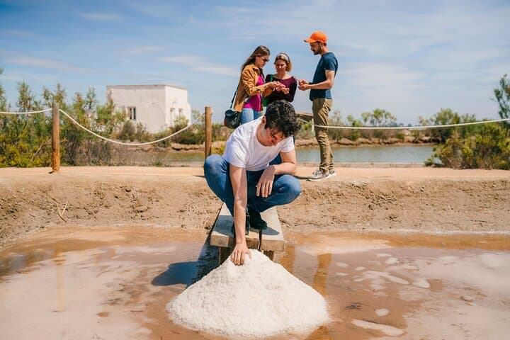 Skip the Line: MónNatura Delta de l'Ebre Entrance Ticket