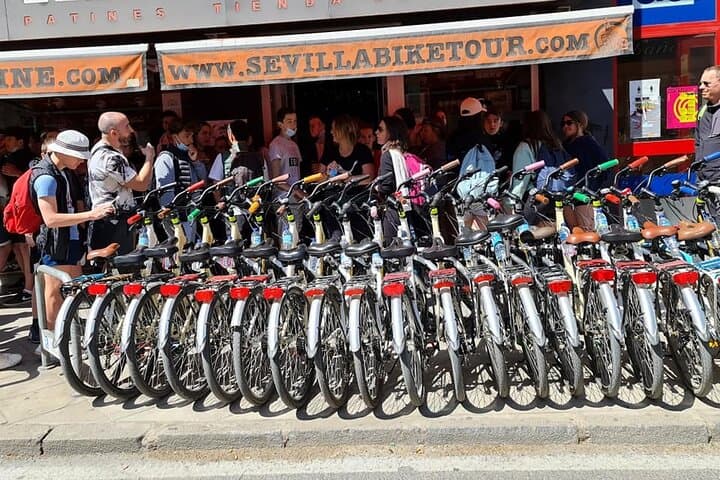 School group prepared to take a route through Seville