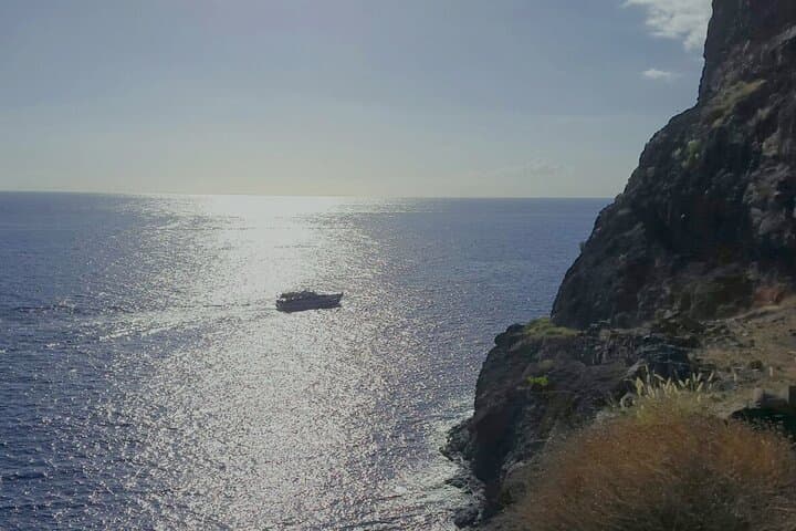 3 hrs Boat Excursion for whale watching from Valle GR (La Gomera)