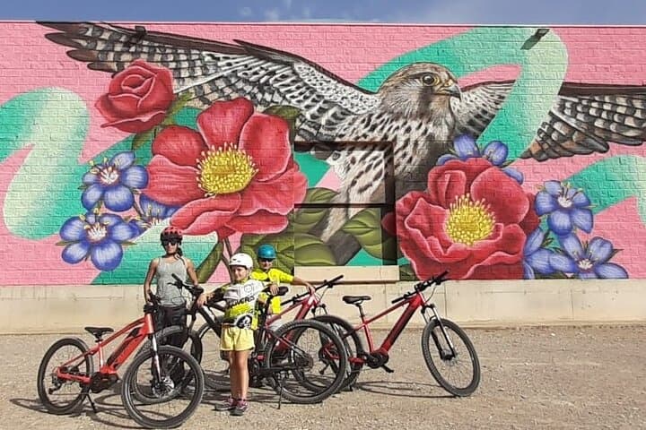 Sant Llorenç de Montgai Private eBike Tour