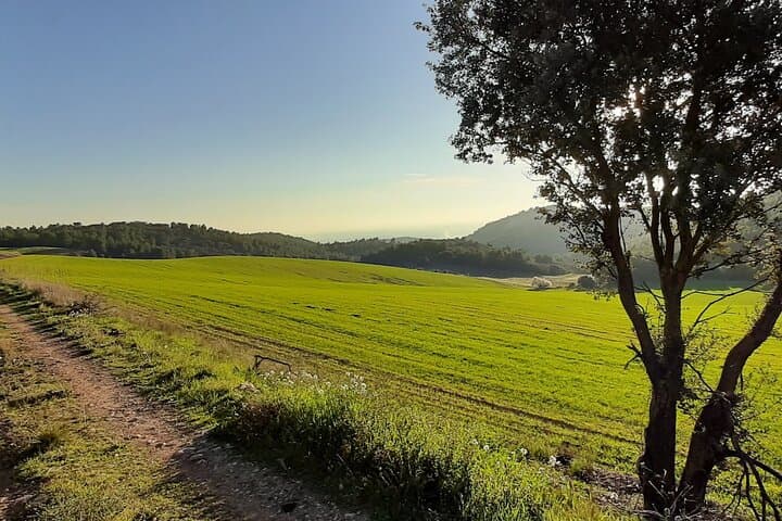Sant Llorenç de Montgai Private eBike Tour