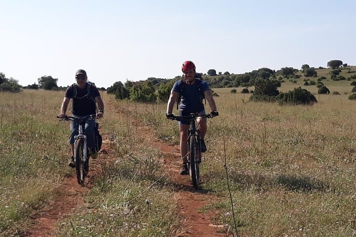 Sant Llorenç de Montgai Private eBike Tour