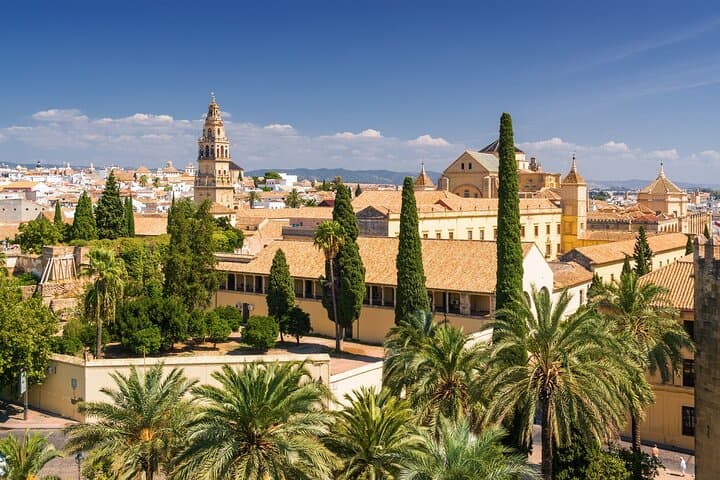 Seville’s Royal & Gothic Splendors: Skip-The-Line Private Tour