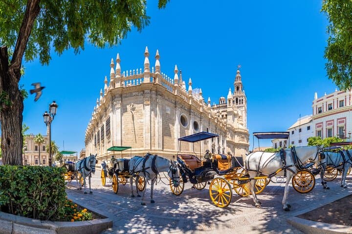 Seville’s Royal & Gothic Splendors: Skip-The-Line Private Tour