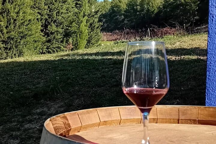 Madrid Wine Tour: Visit Two Wineries with Tastings