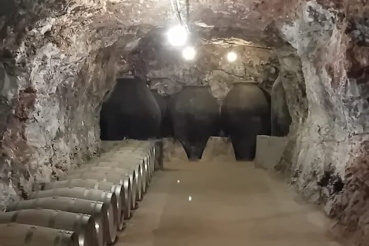 Madrid Wine Tour: Visit Two Wineries with Tastings