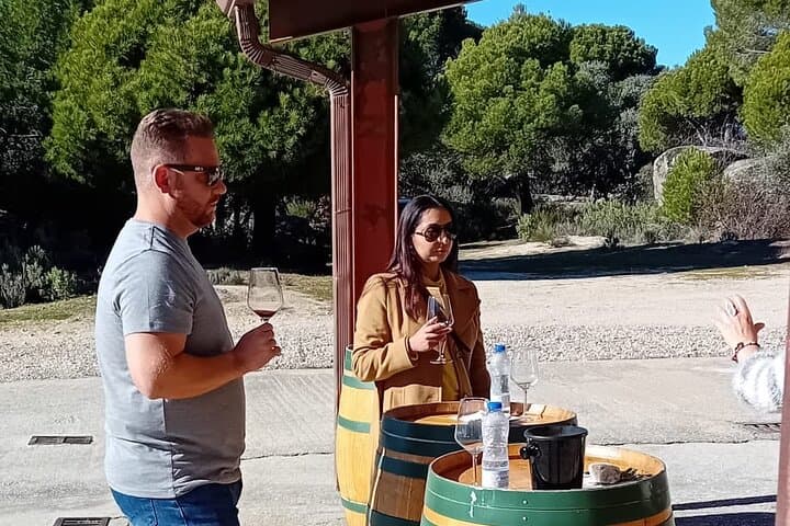 Madrid Wine Tour: Visit Two Wineries with Tastings