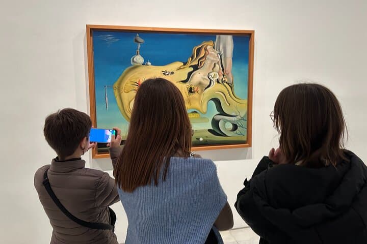 Reina Sofia Museum in Madrid Private Guided Tour
