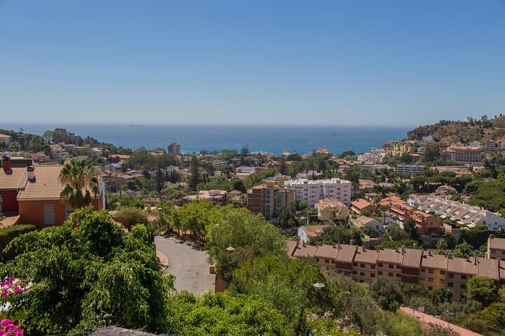 Private Tour of Essential Malaga