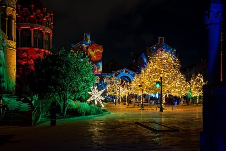 Private Highlights and Christmas special tailored tour