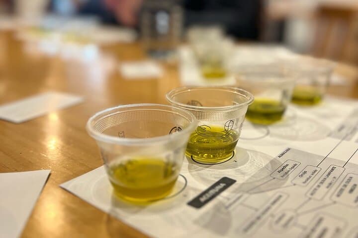 Olive Oil Tasting Experience in Sevilla